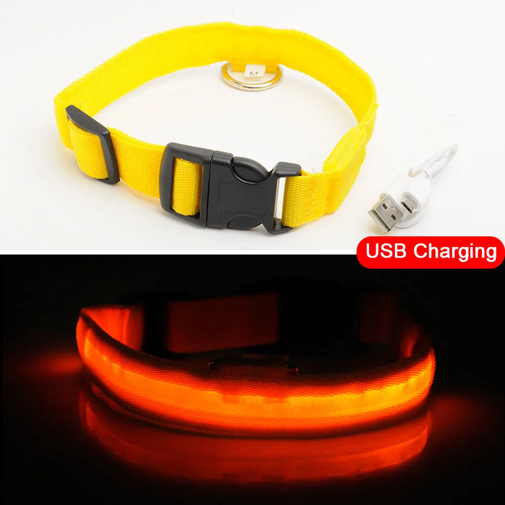 Rechargeable LED Dog Collar